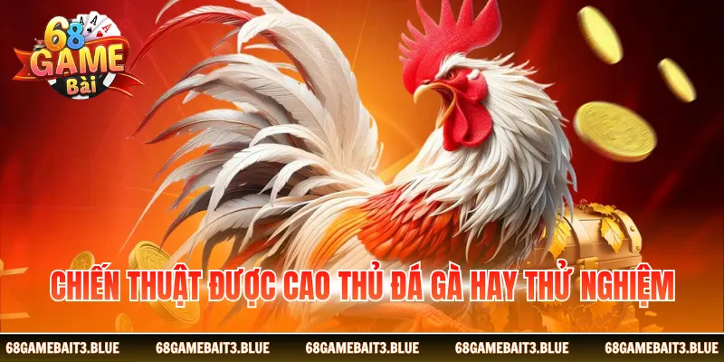 Chiến thuật được cao thủ đá gà hay thử nghiệm